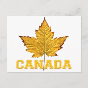 Kanada Postcards Varsity Kanada Souvenir Postcards Vykort