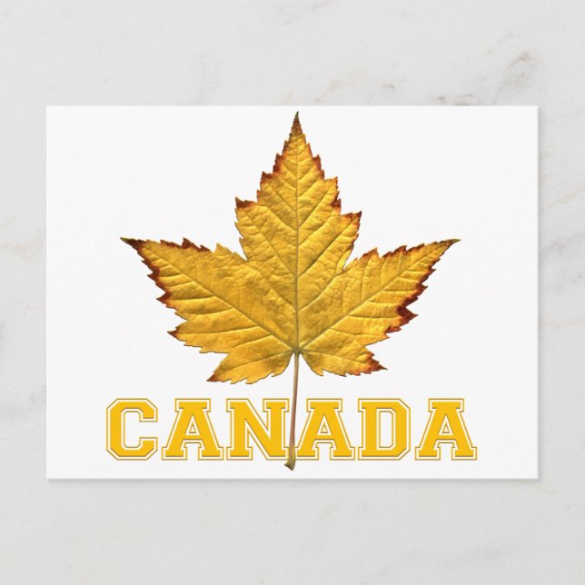 Kanada Postcards Varsity Kanada Souvenir Postcards Vykort (Framsida)