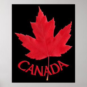 Kanada Poster Kanadas Maple Löv Souvenir-utskrift
