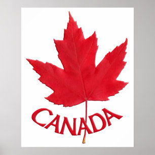 Kanada Poster Kanadas Maple Löv Souvenir-utskrift