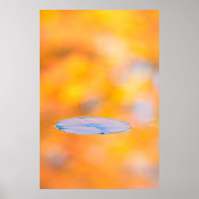 Kanada, Quebec | Saint-Bruno-naturreservatet Poster (Framsidan)