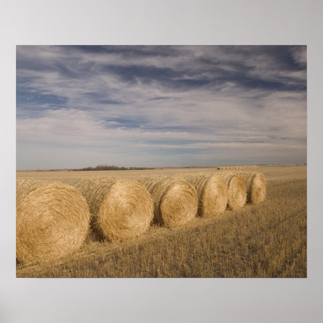Kanada, Saskatchewan, Craik: Hayrolls / Autumn Poster (Framsidan)