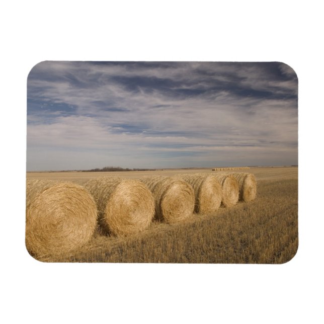 Kanada, Saskatchewan, Craik: Höbalar / Höst Magnet (Horisontell)