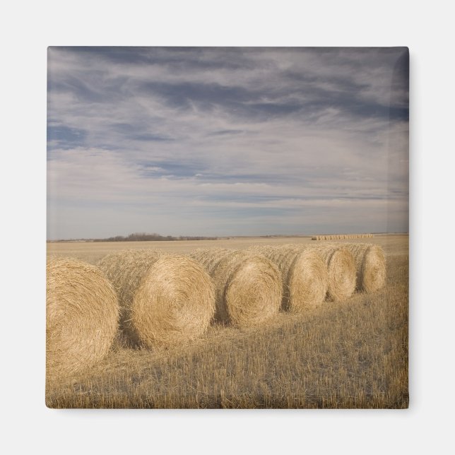 Kanada, Saskatchewan, Craik: Höbalar / Höst Magnet (Framsidan)