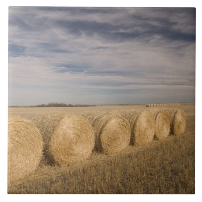 Kanada, Saskatchewan, Craik: Höerullar / Höst Kakelplatta (Framsidan)