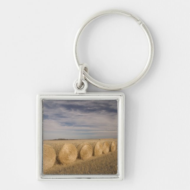 Kanada, Saskatchewan, Craik: Hörrullar / Höst Fyrkantig Silverfärgad Nyckelring (Framsidan)