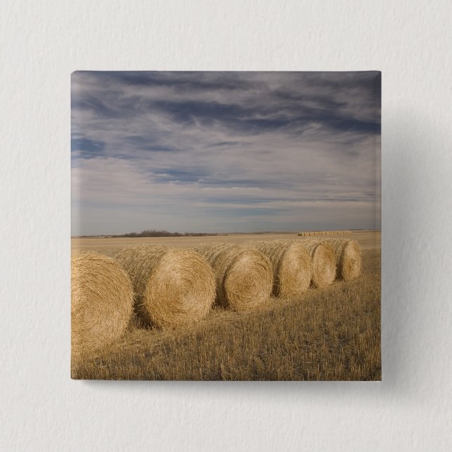 Kanada, Saskatchewan, Craik: Hörrullar / Höst Knapp (Framsida)