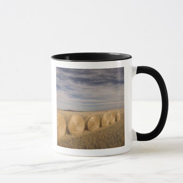 Kanada, Saskatchewan, Craik: Hörrullar / Höst Mugg (Höger)