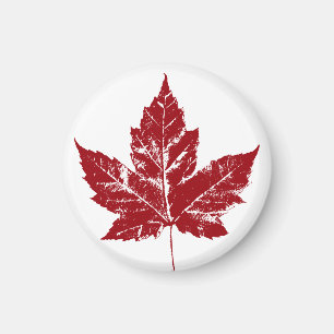 Kanada Souvenir Fridge Magnet Canada Maple Löv