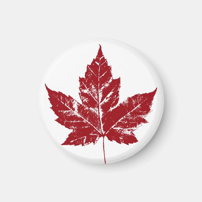 Kanada Souvenir Fridge Magnet Canada Maple Löv (Framsidan)