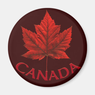 Kanada Souvenir Fridge Magnet Canada Maple Löv
