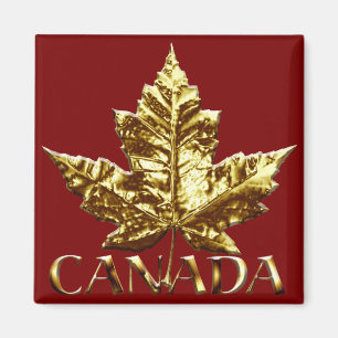 Kanada Souvenir Fridge Magnet Guld Canada Gift