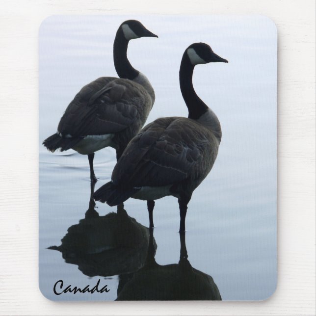 Kanada Souvenir Mousepad Canada Goose Mus mattor Musmatta (Framsidan)