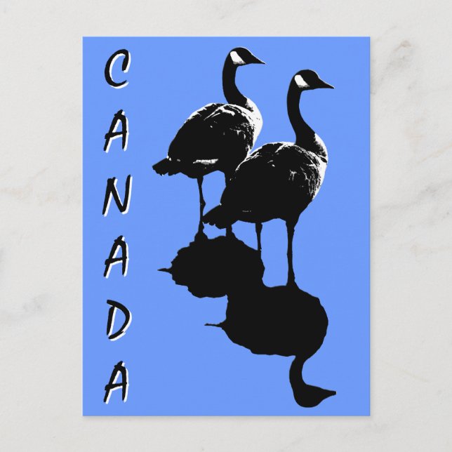 Kanada Souvenir Postcards Kanada Geese Cards Vykort (Framsida)
