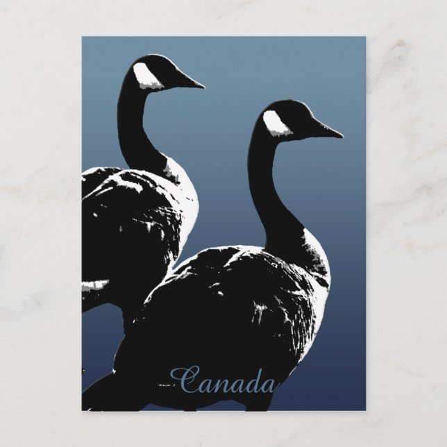 Kanada Souvenir Postcards Kanada Geese Cards Vykort (Framsida)