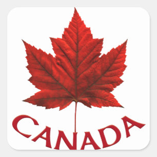 Kanada Souvenir Stickers Red Maple Löv Stickers Fyrkantigt Klistermärke