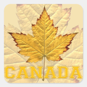 Kanada Souvenir Stickers Varsity Canada Sticker Fyrkantigt Klistermärke