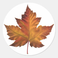 Kanada Stickers Canada Maple Löv Souvenir Runt Klistermärke