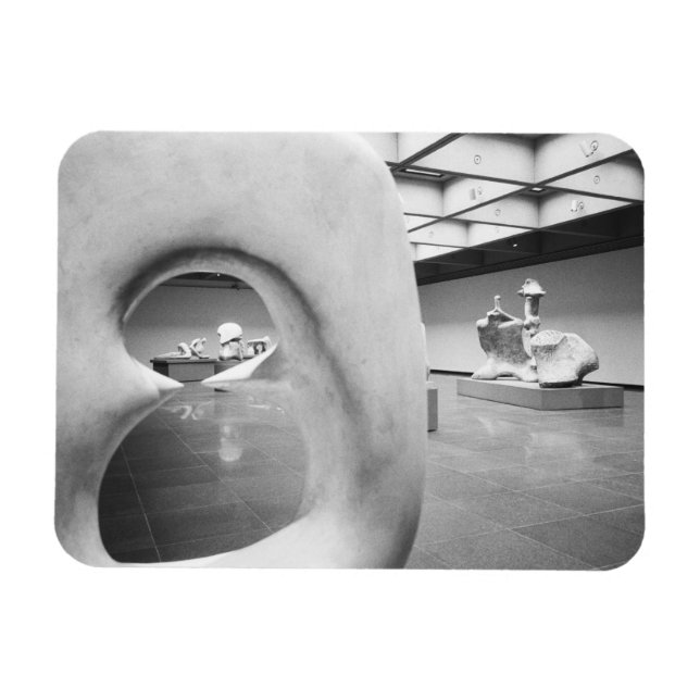KANADA, Toronto: Art Gallery of Ontario (AGO) Magnet (Horisontell)