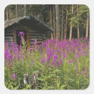 Kanada, Yukon, Ross River-området, Övergiven stuga Fyrkantigt Klistermärke