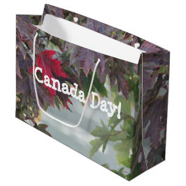 Kanadadag Gift-boag