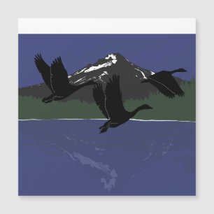 Kanadagäss som flyger över Mountain Lake Wildernes