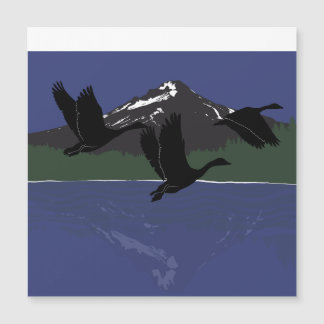 Kanadagäss som flyger över Mountain Lake Wildernes