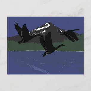 Kanadagäss som flyger över Mountain Lake Wildernes Helg Vykort