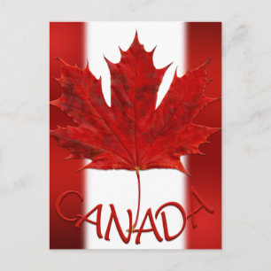 Kanadas Flagga Postkort Canadian Souvenir Postcard Vykort