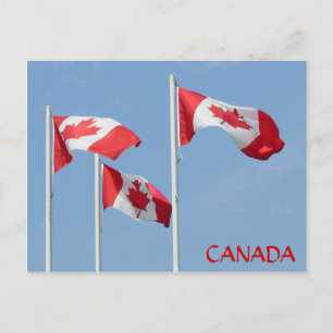 Kanadas Flagga Postkort Canadian Souvenir Postcard Vykort