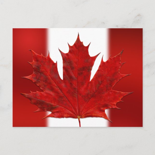 Kanadas Flagga Postkort Canadian Souvenir Postcard Vykort (Framsida)