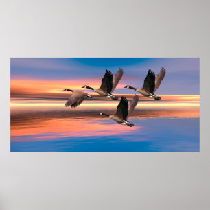 Kanadas gästbild för Poster