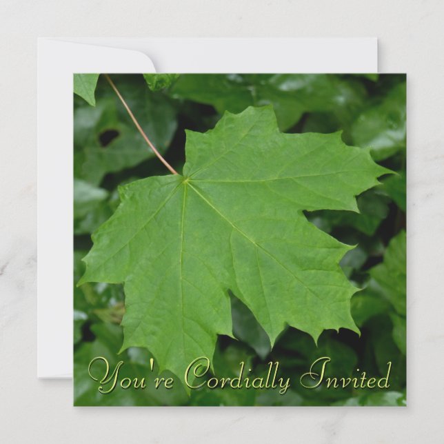 Kanadas inbjudningar Personlig Maple Löv CN OSA (Framsida)