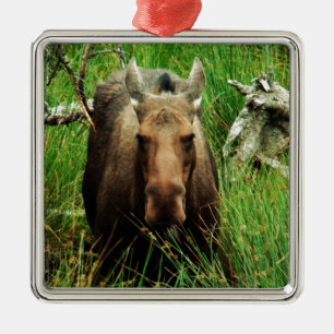 Kanadensisk älg julgransprydnad metall