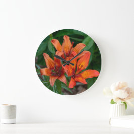 Kanadensisk Blomsterfotografi, Orange Day Lily Stor Klocka