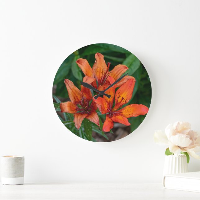 Kanadensisk Blomsterfotografi, Orange Day Lily Stor Klocka (Hem)