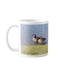 Kanadensisk gäss längs den Ottawa floden