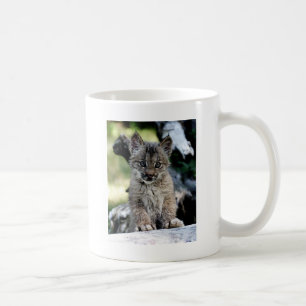 Kanadensisk lodjurkattunge kaffemugg