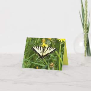 Kanadensisk tigerSwallowtail fjäril Notecard Kort