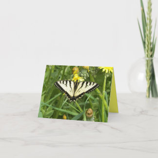 Kanadensisk tigerSwallowtail fjäril Notecard Kort