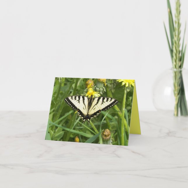 Kanadensisk tigerSwallowtail fjäril Notecard Kort (Framsida)