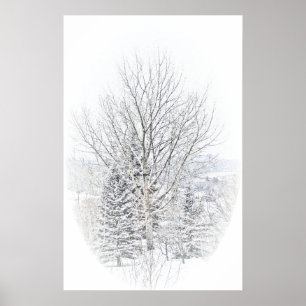 Kanadensisk vinter poster
