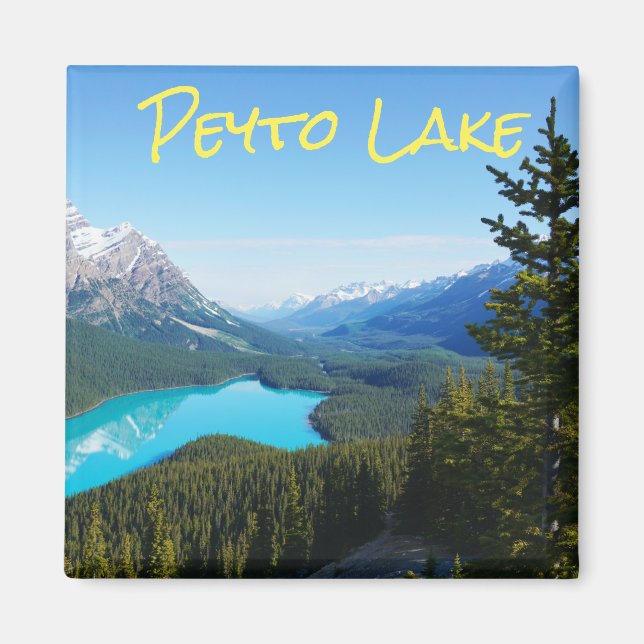 Kanadensiska Blå berget Sjö Gräs Magnet (Framsidan)