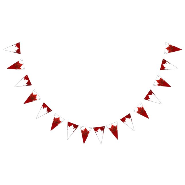 Kanadensiska Dekorationer för Bunting Banners Kana Vimplar (Alla)