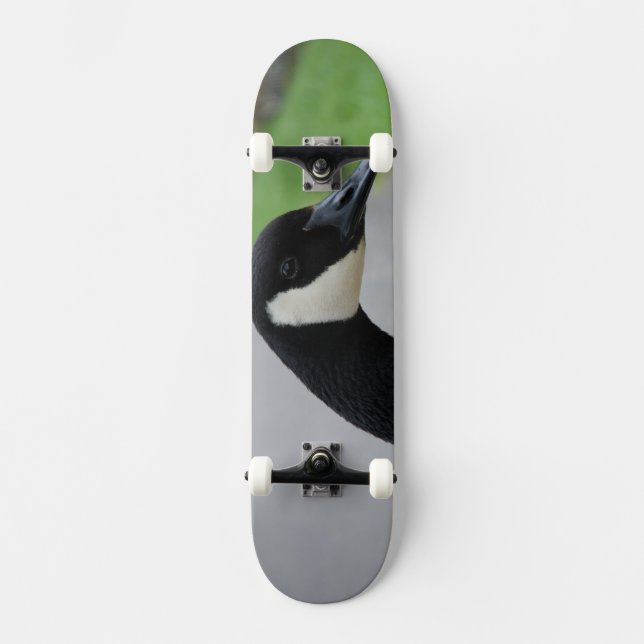 Kanadensiska gäss skateboard bräda 20,5 cm (Framsida)