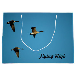 Kanadensiska gäss under flygning