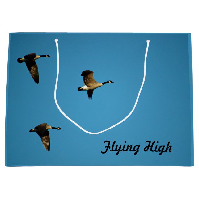 Kanadensiska gäss under flygning (Framsidan)