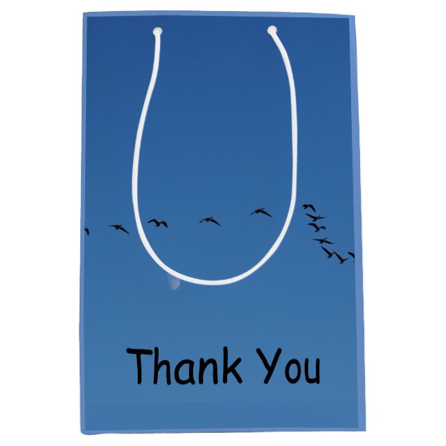 Kanadensiska gäss under flygning (Framsidan)