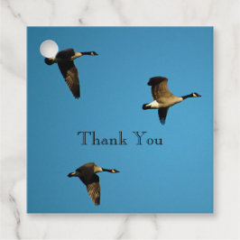 Kanadensiska gäss under flygning gåvor etiketter