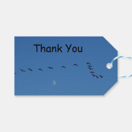 Kanadensiska gäss under flygning presentetikett